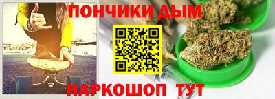 индика Можайск