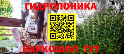 индика Можайск