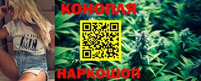 индика Можайск