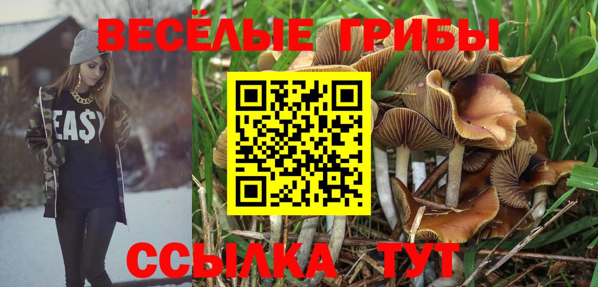 Галлюциногенные грибы MAGIC MUSHROOMS  Вход с VPN  Горячий Ключ 