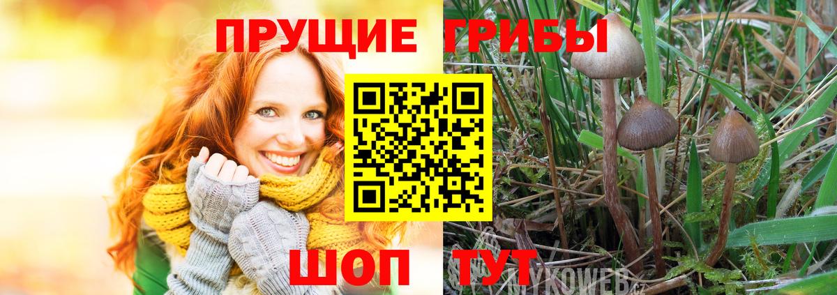 Псилоцибиновые грибы MAGIC MUSHROOMS Горячий Ключ