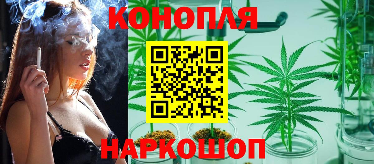 Шишки марихуана планчик Горячий Ключ
